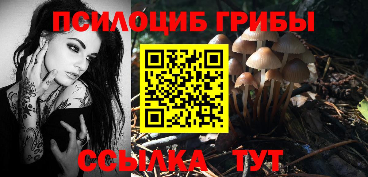 Нарьян-Мар  Галлюциногенные грибы GOLDEN TEACHER  где продают наркотики  Вход с VPN 