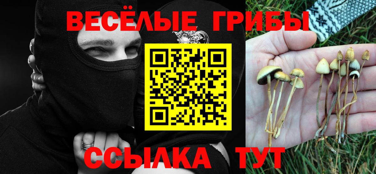 Галлюциногенные грибы Psilocybine cubensis Нарьян-Мар